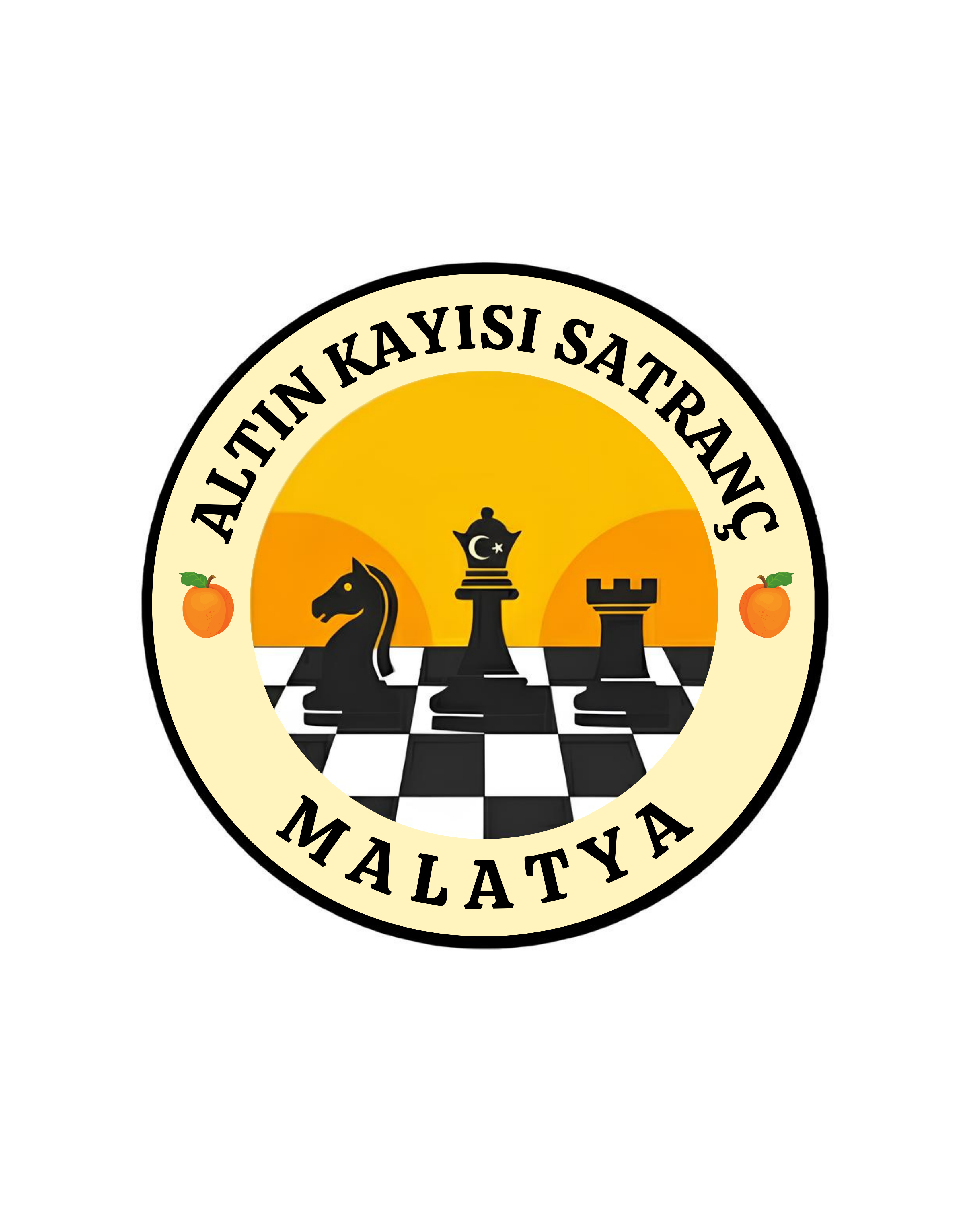MALATYA'NIN SATRANÇ OKULU